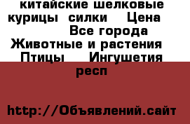 китайские шелковые курицы (силки) › Цена ­ 2 500 - Все города Животные и растения » Птицы   . Ингушетия респ.